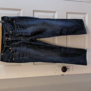 American Eagle Outfitters Artist Crop